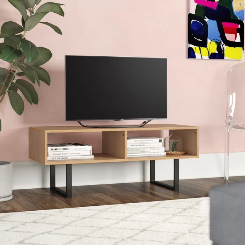 ASHEL - minimalist TV Stand