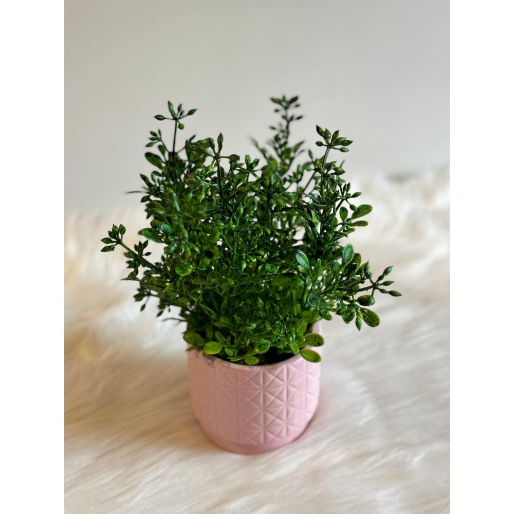 BLOSSOM - Ceramic Pink Pot Planter With Green Leaves