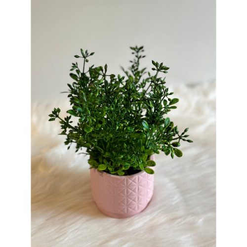 BLOSSOM - Ceramic Pink Pot Planter With Green Leaves