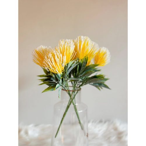 CITRIFLARE - Yellow Pincushion Flowers